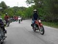 04_IMG_8348_Perenubiola