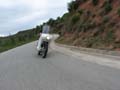04_IMG_8372_Perenubiola