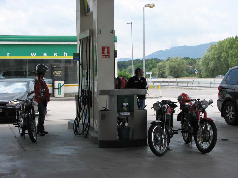 06_IMG_8471_Perenubiola