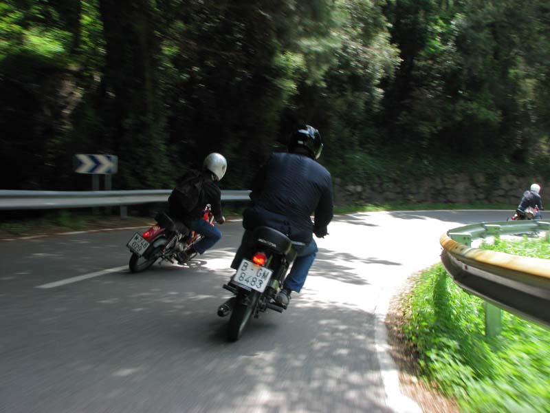 06_IMG_8529_Perenubiola