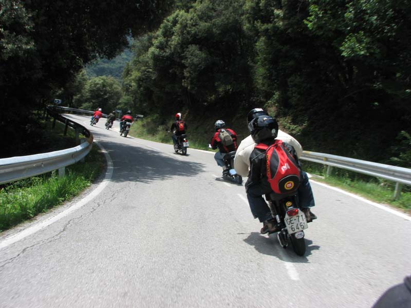 06_IMG_8551_Perenubiola