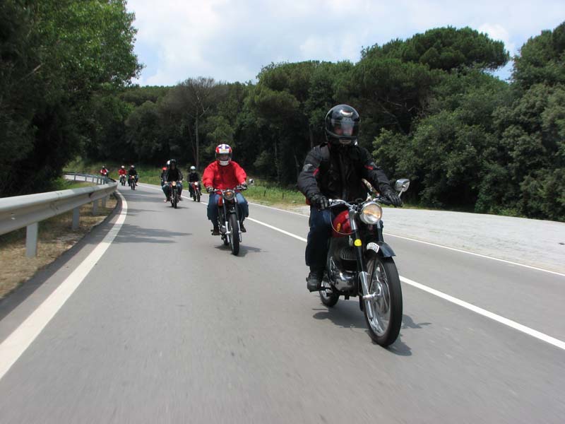 06_IMG_8578_Perenubiola