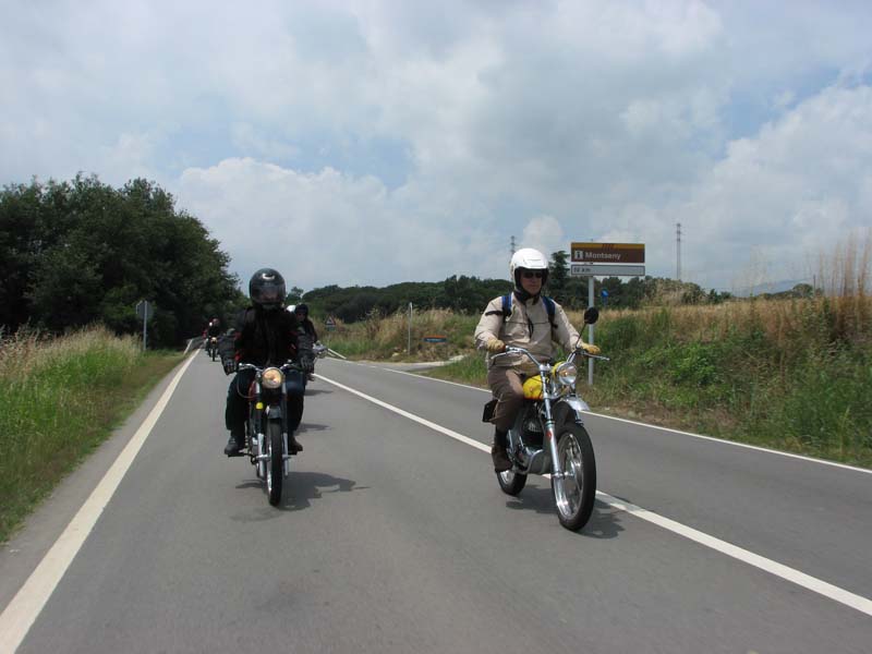 06_IMG_8579_Perenubiola