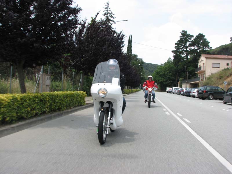 06_IMG_8600_Perenubiola