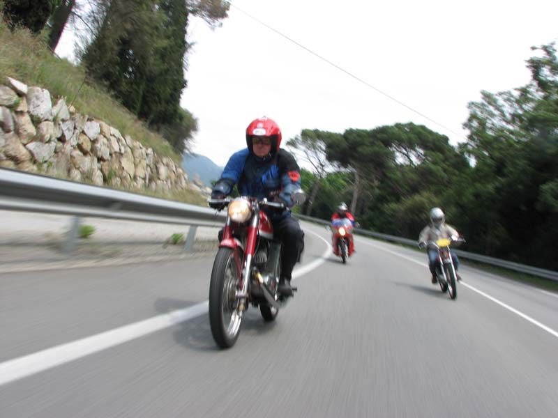 06_IMG_8607_Perenubiola