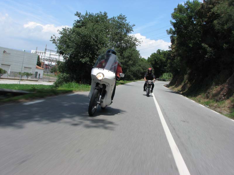 06_IMG_8692_Perenubiola