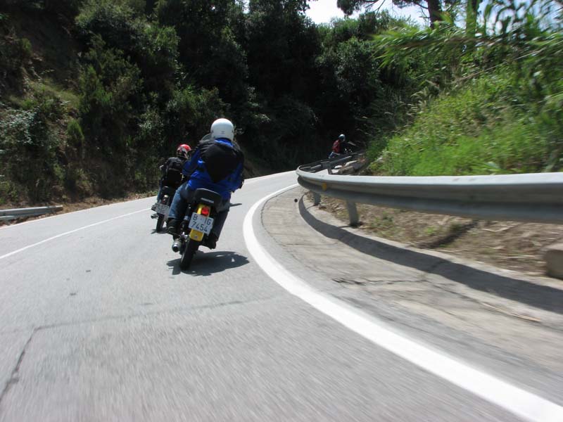 06_IMG_8707_Perenubiola