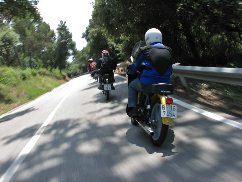 06_IMG_8708_Perenubiola