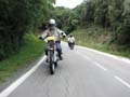 06_IMG_8558_Perenubiola
