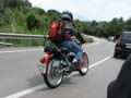 06_IMG_8575_Perenubiola
