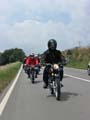 06_IMG_8580_Perenubiola