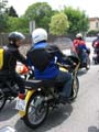 06_IMG_8662_Perenubiola