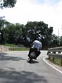 06_IMG_8668_Perenubiola