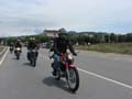 06_IMG_8686_Perenubiola