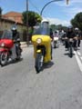 06_IMG_8693_Perenubiola