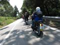 06_IMG_8708_Perenubiola